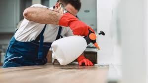 Best Real Estate Pest Inspections  in Sauk Rapids, MN